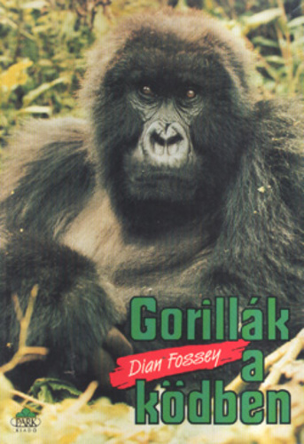 gorillakakodben.jpg