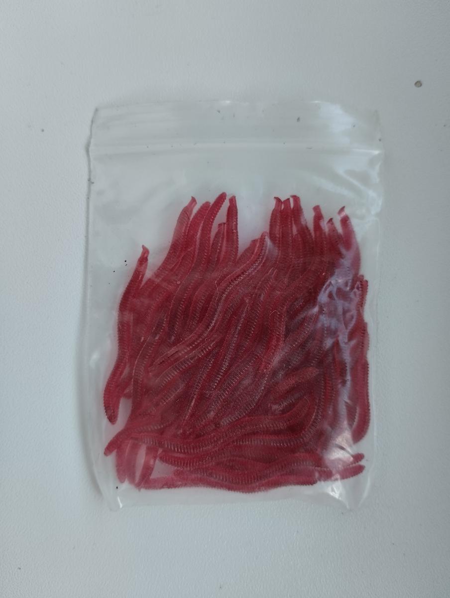 jelly_giliszta_copy.jpg
