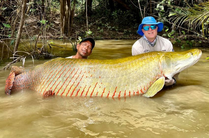 dome-arapaima.jpg