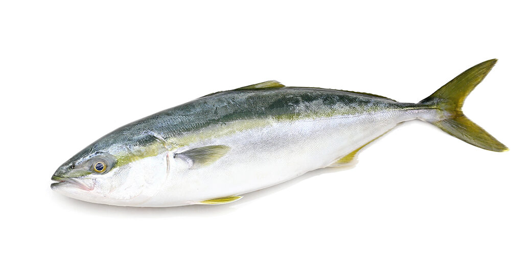 egzotikus-1000x500.jpg