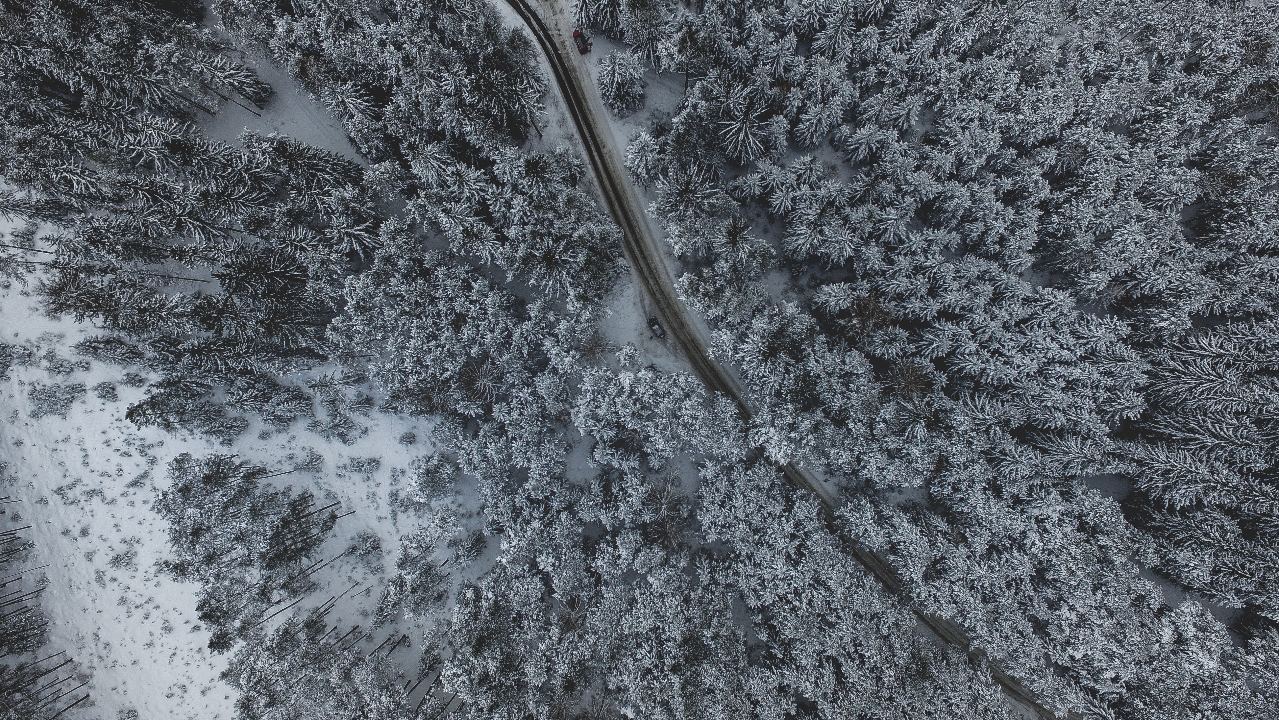 1280x720-5400746-snow-winter-road-route-path-topdown-aerial-cold-view-from-above-travel-adventure-discover-explore-austria-landscape-forest-tree-nature-sledding-alp-free-stock-photos.jpg