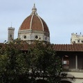 Firenzei gyorstalpaló