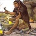 Tudtad a limonádéról ?!