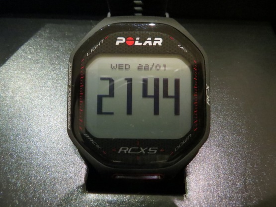 polar_rcx5_1661.jpg