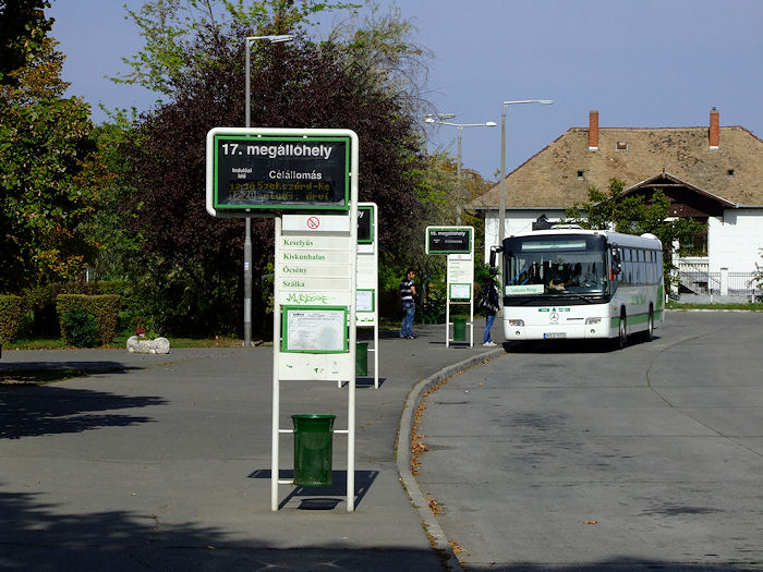 szekszard_busz.jpg