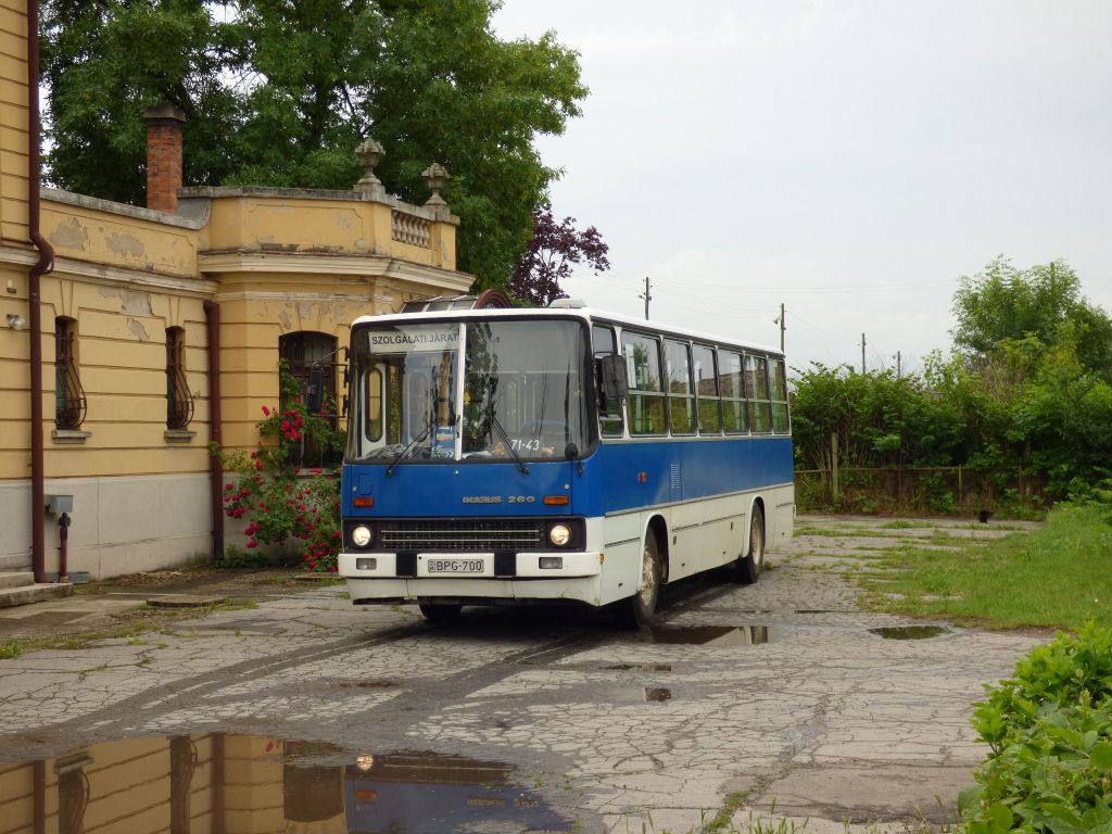 jaszsag-busz_072.jpg