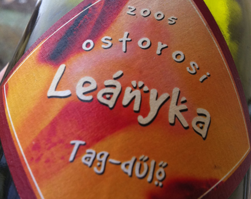 orsolya_tag_leanyka05.jpg