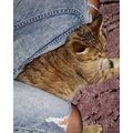 #pain #badday #worst #worry #strong #badmorning #cat #school #exam #biology #disgusting #long #day #relax #with #my #cat #best #moment #instasize #instapic #instadaily #tagsforlikes