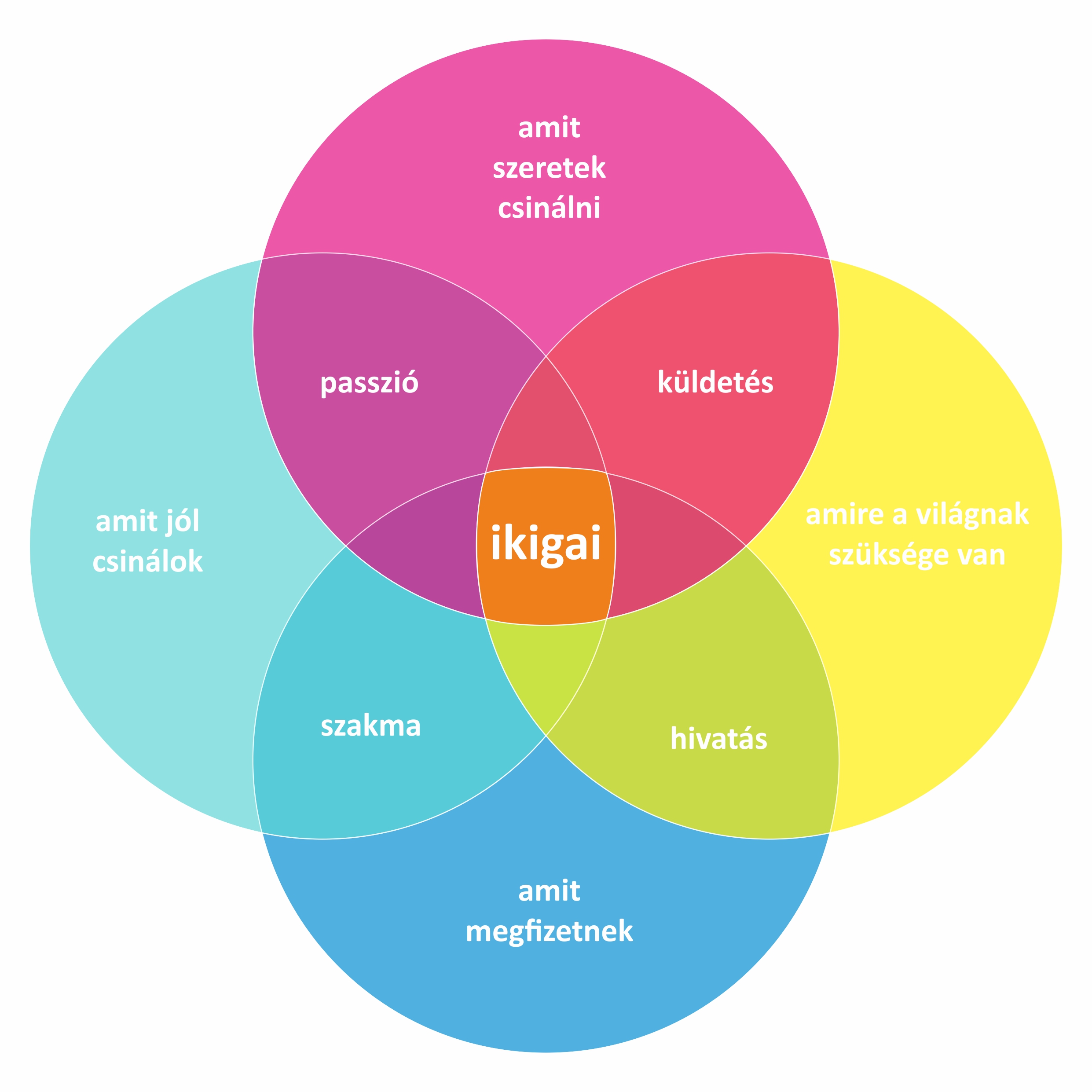 hrdoktor-ikigai-2.jpg