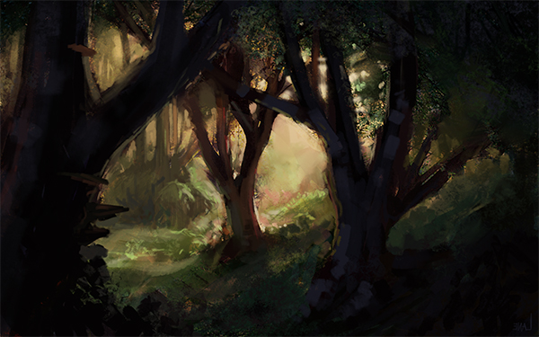 forest_light.jpg