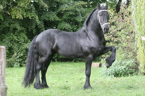 friz_lovak_5_5.JPG