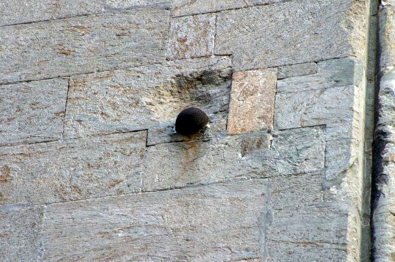 A bergeni katedrális falába fúródott angol ágyúgolyó.