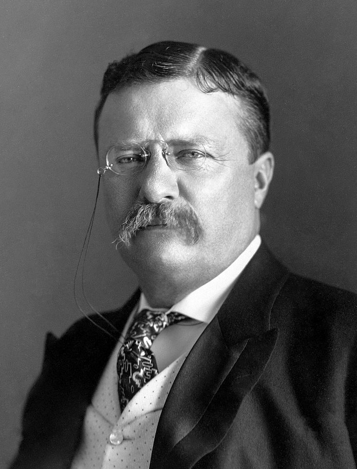 Theodore Roosevelt, az US Navy egyik legfőbb protektora.