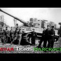 Tigris harckocsik magyar szolgálatban