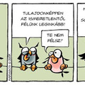 Fő az optimizmus