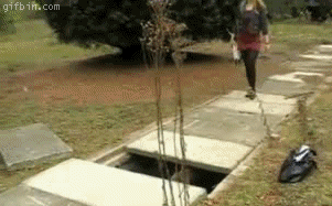 a54.gif