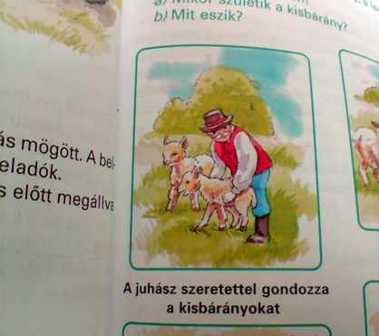blog 357 kép.jpg