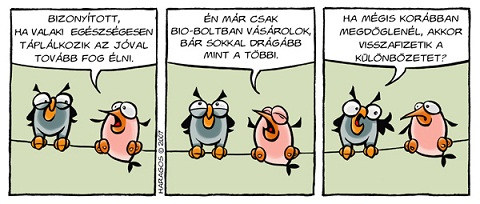 blog 437 kép.jpg
