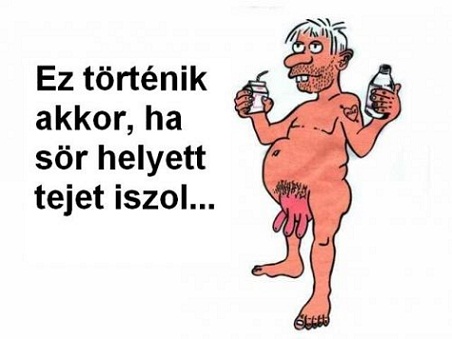 blog 438 kép.jpg