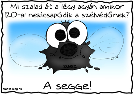 blog 456 kép.jpg
