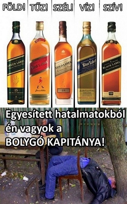 blog 457 kép.jpg