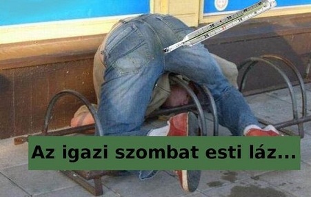 blog 459 kép.jpg
