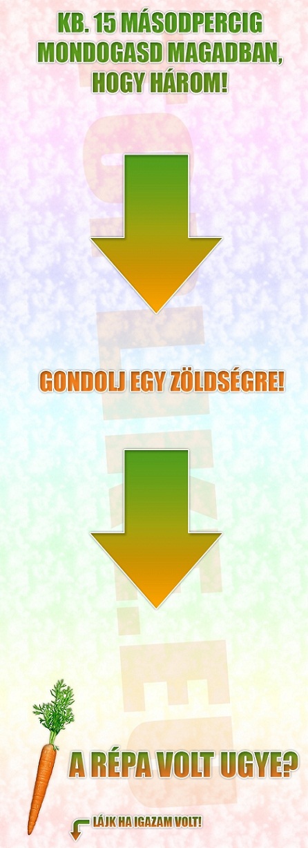 blog 461 kép.jpg