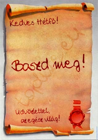 blog 491 kép.jpg