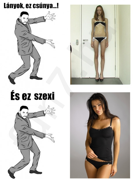 blog 693 kép.jpg