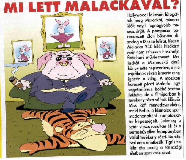 blog 81 kép.jpg