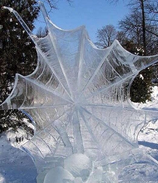 ice_spiderweb.jpg