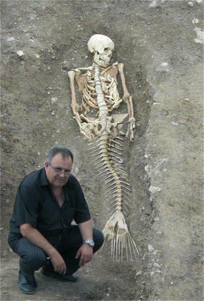 mermaid.jpg