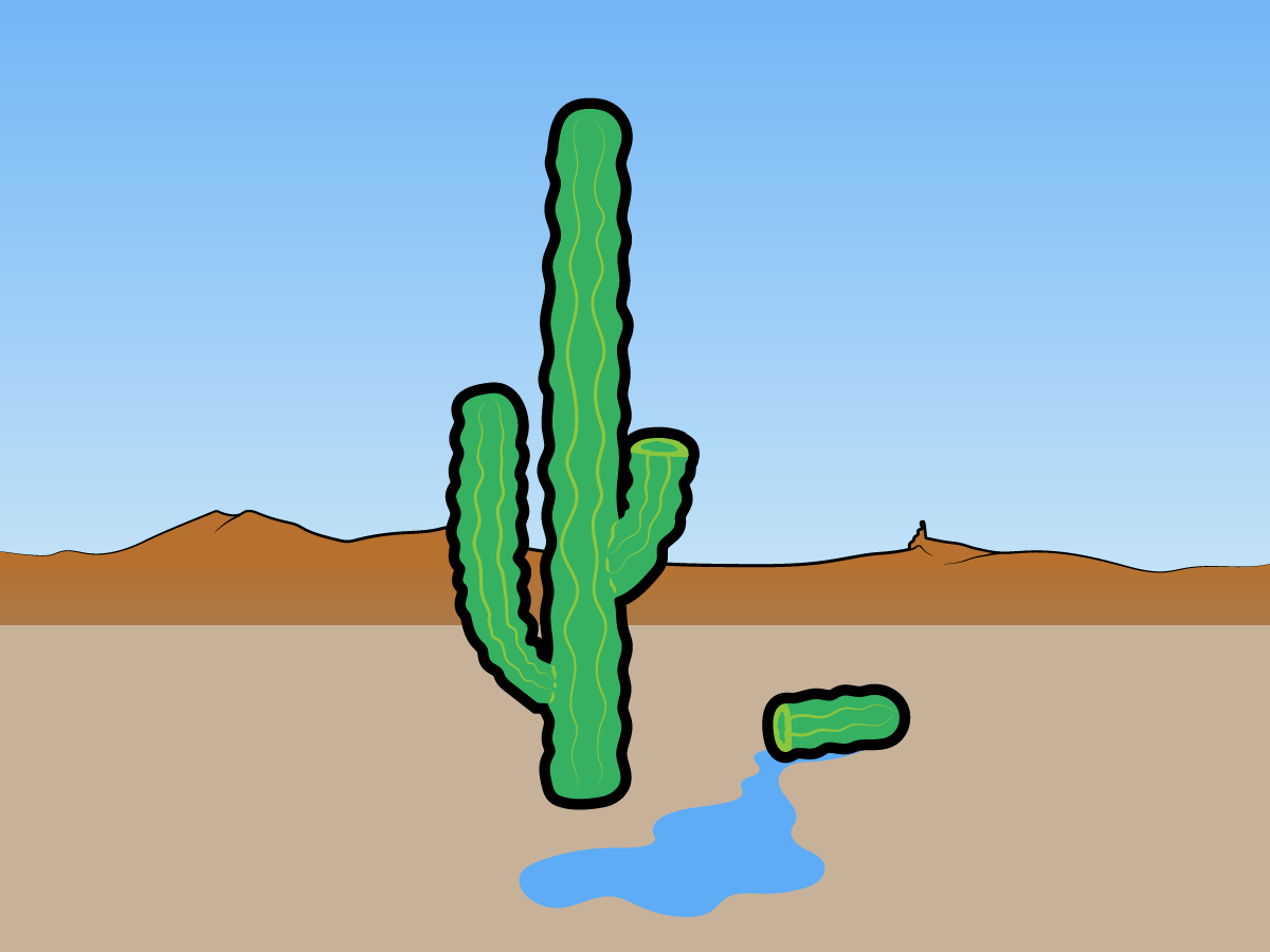 myth-the-fluid-in-a-cactus-can-save-you-from-dying-of-thirst.jpg