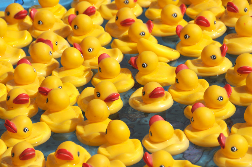 rubber-ducks.jpg