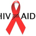 AIDS: A melegek betegsége?