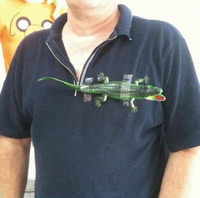 lacoste_polo.jpg