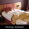 Ninja pornó
