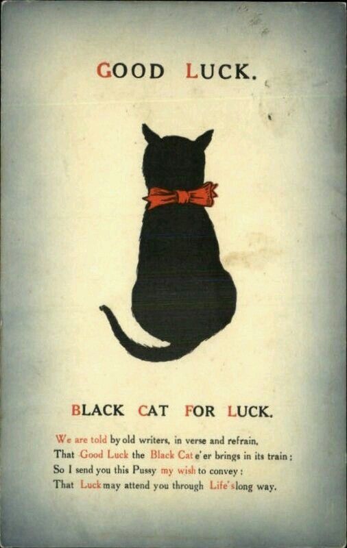 blackcatss.jpg