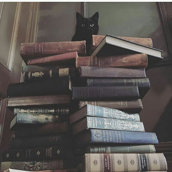 booksblackcat.jpg