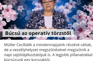 Hülyék, hová mentek hülyék?