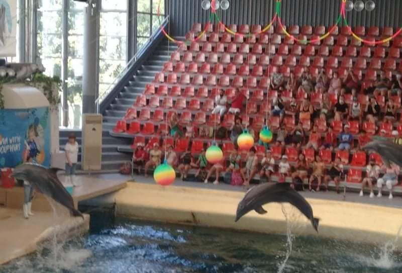 delfinarium-ice-800x543_1.jpg