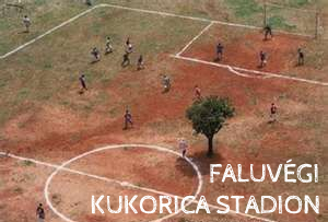 kukorica.png