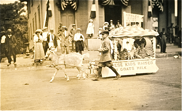 200th-parade-goat-cart.png