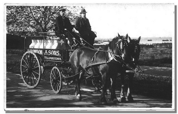 Rowdon's Milk Cart 1915.jpg