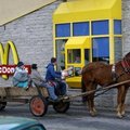 Jó ebédhez szól a lazulás + Bónusz