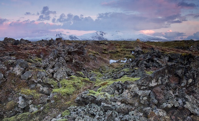 alavafieldiniceland.jpeg