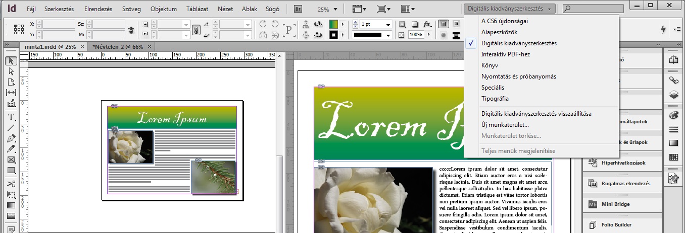 indesign_cs6_digitalis_kiadvanyszerkesztes.jpg