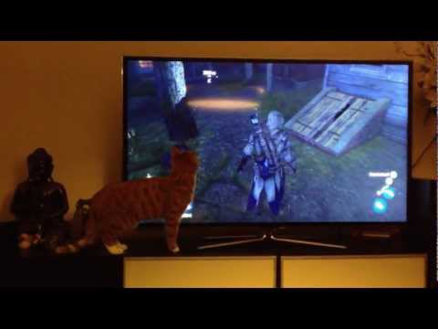 A nap videója: Macska az Assassin's Creed III ellen