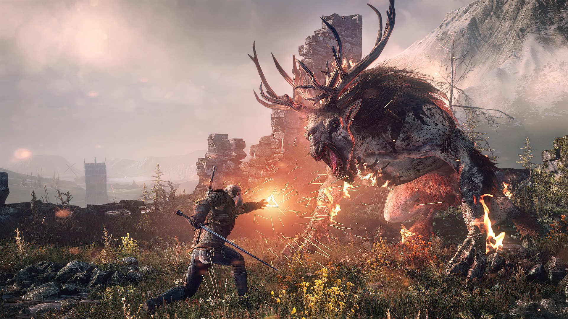 the-witcher-3-wild-hunt-ps4-ps4-36284.jpg