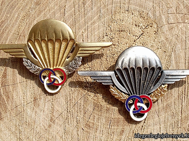Brevet de Moniteur Parachutiste (BMP)